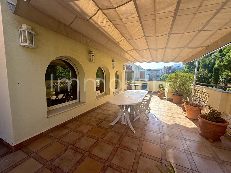 IMG_2294